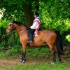 Himmelfahrt 2018